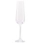 Champagne Glass