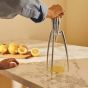 Alessi Citrus Squeezer