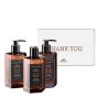 Atelier Rebul J.C.R Set