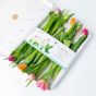 Bloomin' Tulips Flowers Letterbox Gift