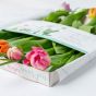 Bloomin' Tulips Flowers Letterbox Gift