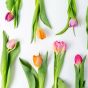 Bloomin' Tulips Flowers Letterbox Gift