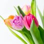 Bloomin' Tulips Flowers Letterbox Gift