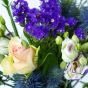 Bluebell Flowers Letterbox Gift