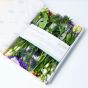 Bluebell Flowers Letterbox Gift