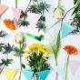 Festive Flowers Letterbox Gift