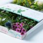 Festive Flowers Letterbox Gift