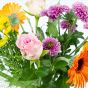 Festive Flowers Letterbox Gift