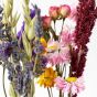BloomNote Gift Box - Multicolor