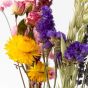 BloomNote Gift Box - Multicolor