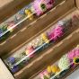 Das Bloom & Scent Cosy Desk Duo
