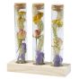 The Flower Experiment Gift Box - Multi