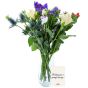 Bluebell Flowers Letterbox Gift