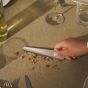 Bread Crumb Collector Alessi