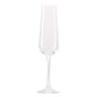 Prestige Champagne Tasting Set