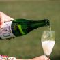 Divin Non-Alcoholic Sparkling Wine Blanc