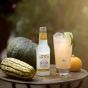 The Ultimate Moscow Mule Cocktail Kit