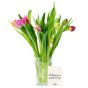 Bloomin' Tulips Flowers Letterbox Gift