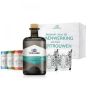 GEPERSONALISEERDE GIN TONIC COCKTAIL SET