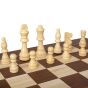 Manopoulos Wooden Chess & Backgammon Replica Set - Walnut Brown