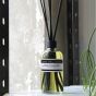 The Ultimate Marie-Stella-Maris Fragrance Set