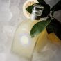 MM Antverpia Limoncello 1520 - Personalised Business Gift
