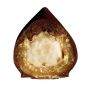 Neuhaus Icon Pralines Collection Box - Exclusive Business Gifts