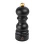 Peugot Paris Salt Set