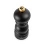 Peugot Paris Salt Set