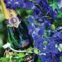 Pommery Royal Brut Apanage Champagne