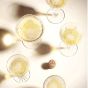 Vranken Special Brut Champagne