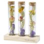 Das Bloom & Scent Cosy Desk Duo