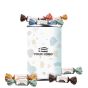 Guylian Temptations Tin