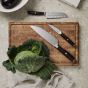 Tara Steel Chef's Set