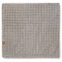 Branson GRS Recycled Pet Blanket - Grey