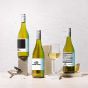 Wine Champion Gift Set