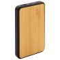 powerbank