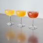 The Mocktail Club Basil Breeze Gift Set