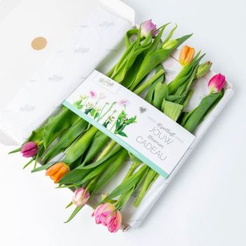 Kleurrijk Tulpenboeket Brievenbus Geschenk - Inclusief Rechtstreekse Verzending