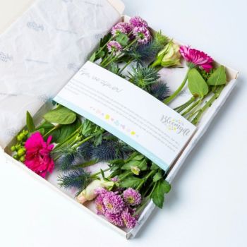 Purple Blossom Bloemenboeket Brievenbus Geschenk - Inclusief Rechtstreekse Verzending