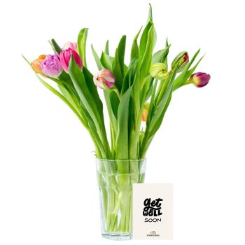 Bloomin' Tulips Flowers Letterbox Gift