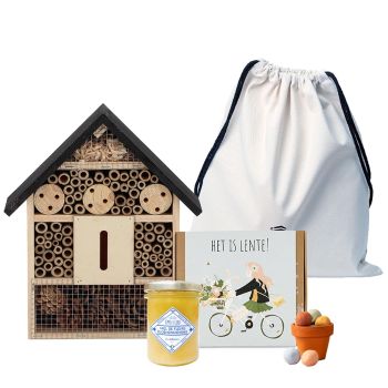 Spring Blossombs Starter Kit