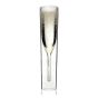 Double Walled Champagne Flute - 1 piece
