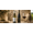 Cantina Mabis | Logo